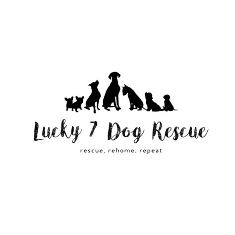 Home Lucky 7 Dog Rescue Lucky 7 - Lucky 7