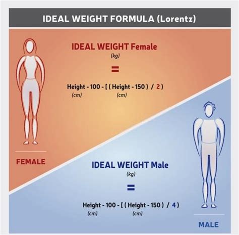 How To Determine The Ideal Size For An Metaspace - Metaspace