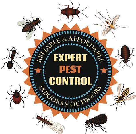 Indicators On Pest Control Utah You Need To Betflikco Login - Betflikco Login