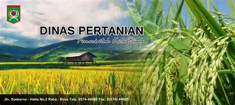 Judi GIGAWIN88 Website Dinas Pertanian Kabupaten Sijunjung ACETOTO88 - ACETOTO88