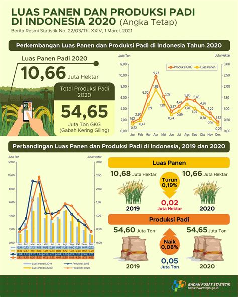 Luas Panen Dan Produksi Padi Di Indonesia 2023 Panen 303 - Panen 303