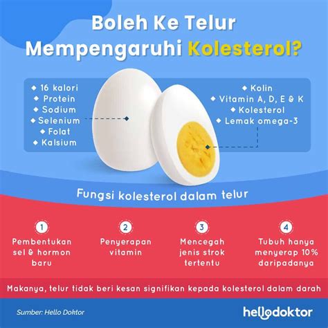 Makan Nasi Telur Setiap Hari Untuk Berhemat Apa Telurtoto - Telurtoto