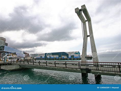 Modern Suspension Pathway With Concrete Pier And Suspension Kukutoto - Kukutoto