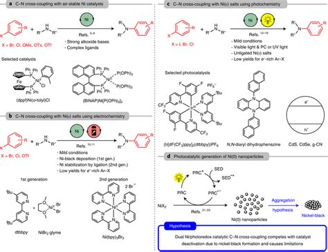 Nickel Catalysed C N Cross Coupling Of Organoboronic G O T3ADRAGONHEIR - G.o.T3ADRAGONHEIR