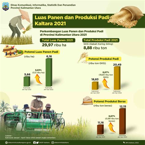 Pada 2023 Luas Panen Padi Di Sumatera Barat Panen 303 Resmi - Panen 303 Resmi