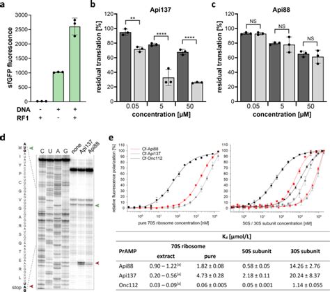 Pdf Multimodal Binding And Inhibition Of Bacterial Ribosomes API88 - API88