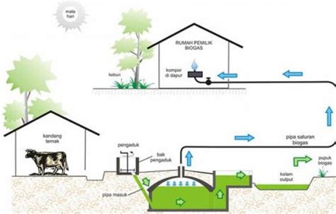 Pengertian Energi Biogas Dan Manfaatnya Lengkap Dengan Uraiannya CADAS138 Alternatif - CADAS138 Alternatif
