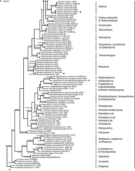 Phylogenetic Divergences In Brown Rot Fungal Pathogens Of DID88 - DID88