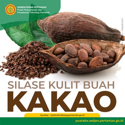 Potensi Dan Pemanfaatan Kulit Buah Kakao Sebagai Pakan KEBUN4D Alternatif - KEBUN4D Alternatif