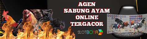 Slotboya Agen Sabung Ayam Online Tergacor Slotboya - Slotboya