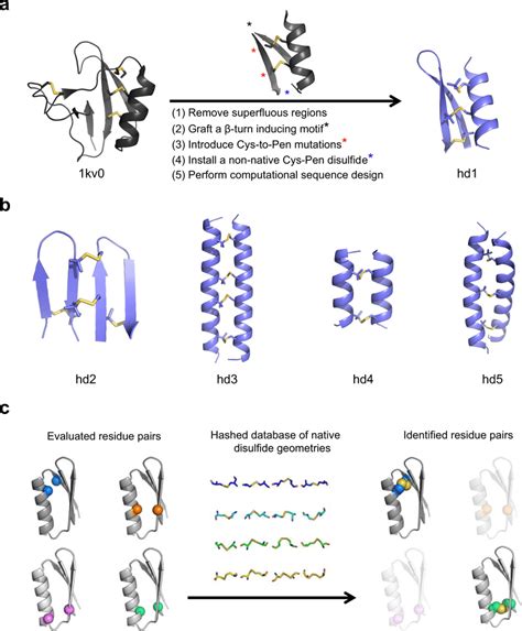 Supramolecular Heterodimer Peptides Assembly For Nanoparticles BEBAS4D Login - BEBAS4D Login
