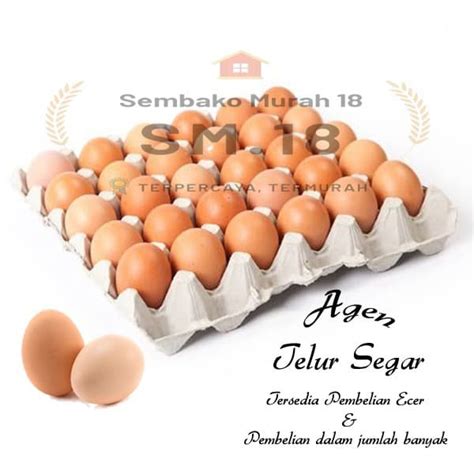 Telur Harga Termurah Amp Grosir Pilihan Terlengkap Tokopedia Telurtoto - Telurtoto