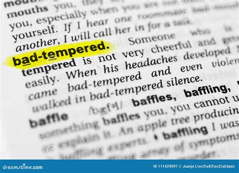 Tempered English Meaning Cambridge Dictionary TEMPUR4D - TEMPUR4D