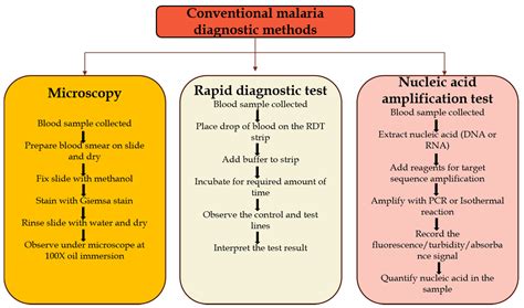 The Development Of Malaria Diagnostic Techniques A Review Duangdee Alternatif - Duangdee Alternatif