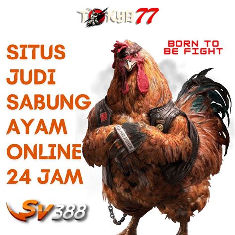 The Smart Trick Of Sabung Ayam Terbaik Tahun Judi Betlink Online - Judi Betlink Online