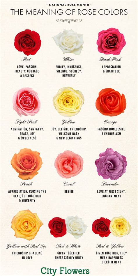 Types Of Flowers Meaning Of Rose Colors Amp Flowers - Flowers