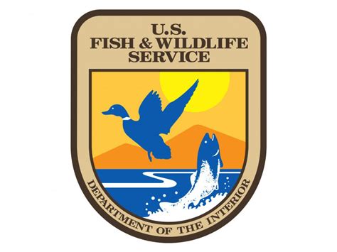 U S Fish And Wildlife Service Releases Final Owls - Owls