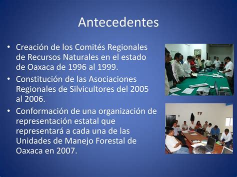 Unión Estatal De Silvicultores Comunitarios De Oaxaca A CUAN138 Login - CUAN138 Login