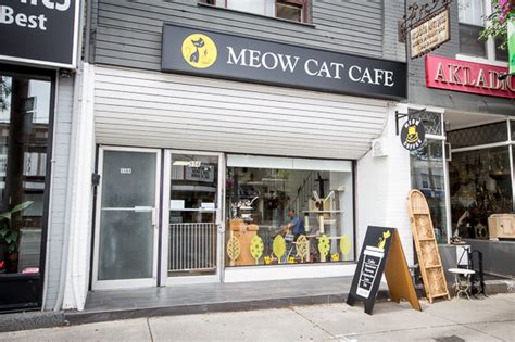 Welcome To Cat Cafe Meow - Meow