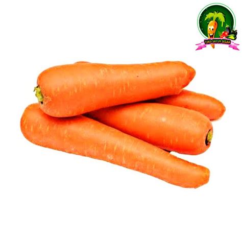 Wortel 21 A New Era In Carrot Agriculture Judi WORTEL21 Online - Judi WORTEL21 Online