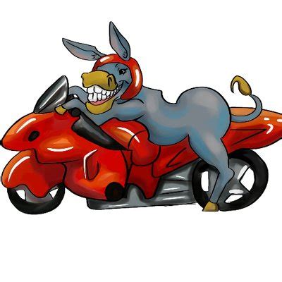 2wheeldonkey content