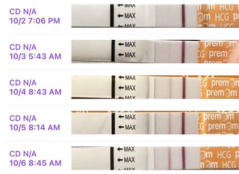 8 Dpo Strip Test Nude Patreon Leaks Telegram channel preview