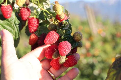 Allyouneed OnlyFans channel