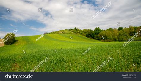 Andreg87 OnlyFans channel