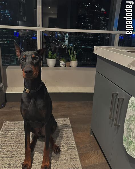 Chubbygingerbaby OnlyFans channel