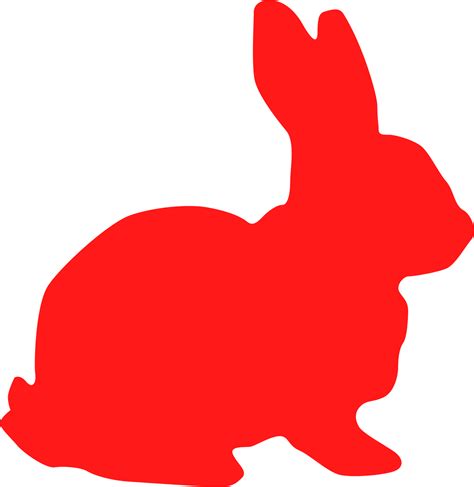 Conejo rojo OnlyFans channel