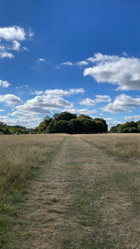 Digital bathk OnlyFans channel