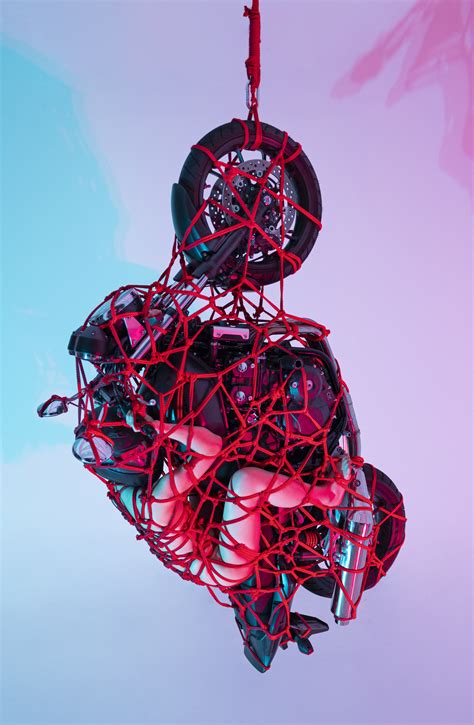 Essential Shibaris OnlyFans channel