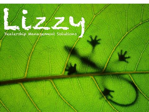 Lizzy Dms OnlyFans channel