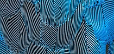 Moire Beese OnlyFans channel