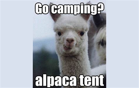 Outdoor Meme OnlyFans channel