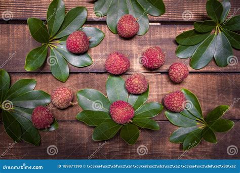 Slitchi OnlyFans channel