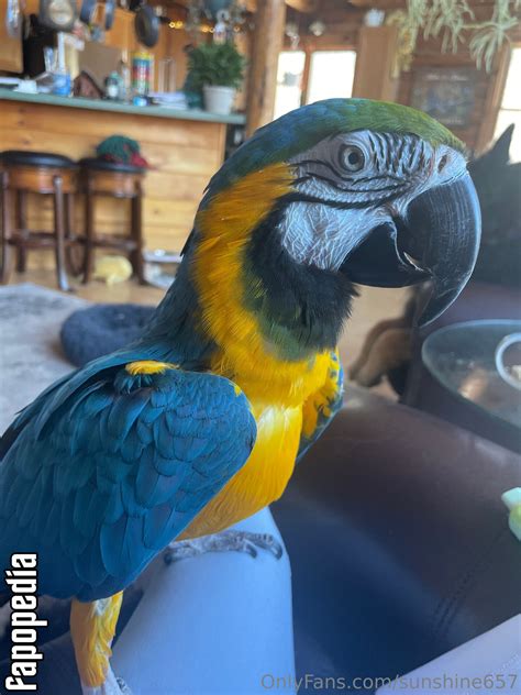 Sunshine657 OnlyFans channel