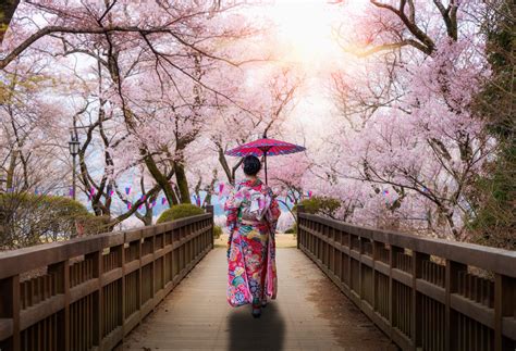 The Japan OnlyFans channel
