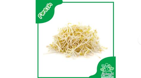 Togebesar OnlyFans channel