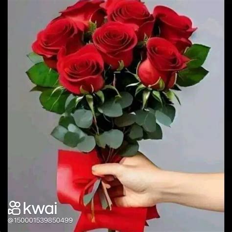 Violetacbm OnlyFans channel