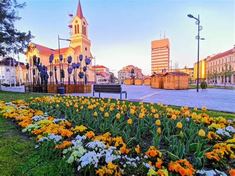 Zrenjanin OnlyFans channel