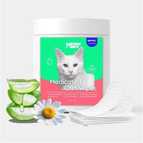 Meowmint 0 OnlyFans channel