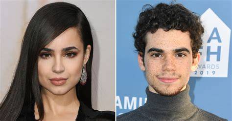 Sofia carson leaked content