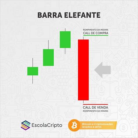 Domine o Mercado de Opções Binárias com a Barra Elefante: A Melhor Opção para Investidores