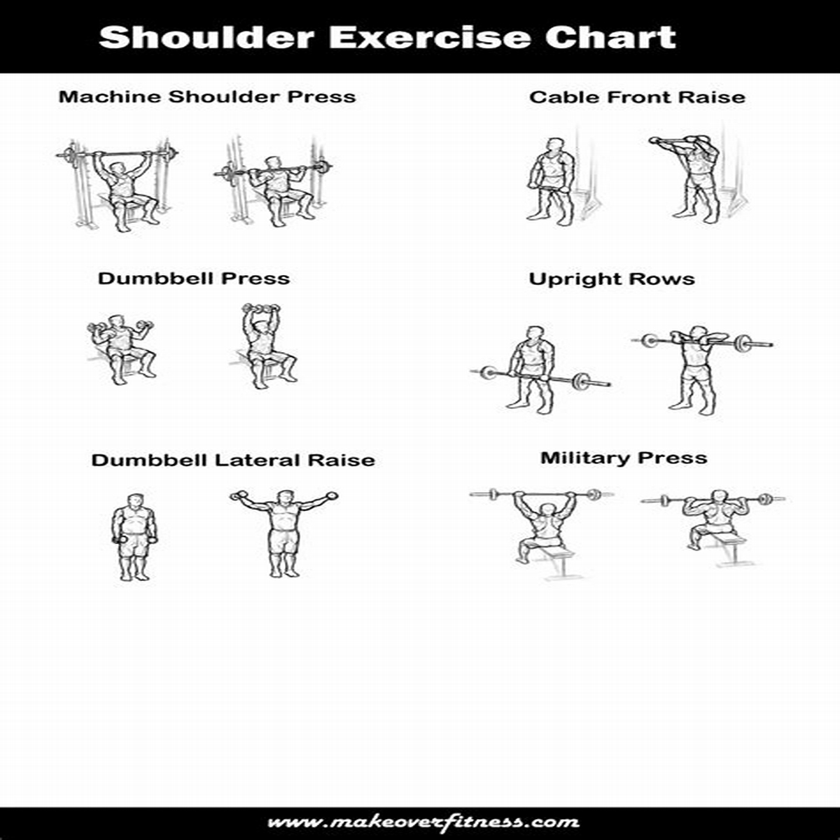 2024 Shoulder Chart Workout s using 