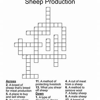 A Type Of Sheep 6 Crossword Clue