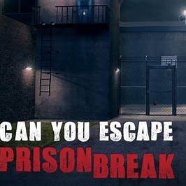 Can You Escape Prison Break Desperate Trip Walkthrough