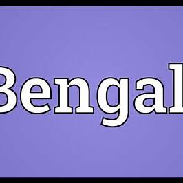 Definition Meaning In Bengali