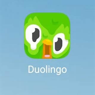 Duolingo App Icon Melting