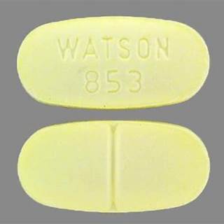 Watson 353 White Oval